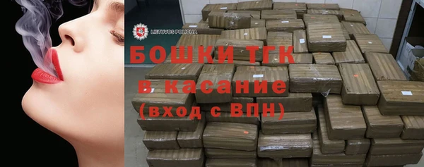 индика Лиски