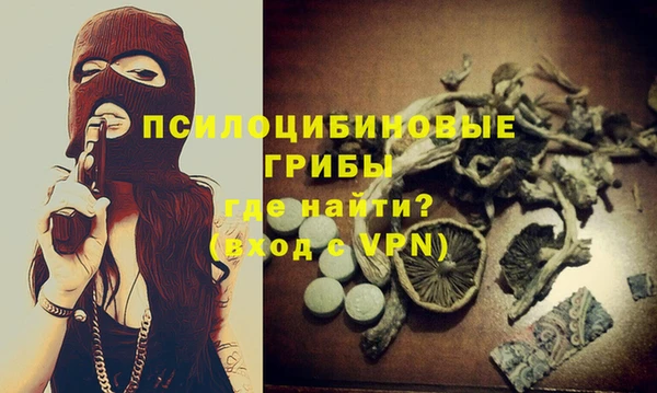 герыч Лагань