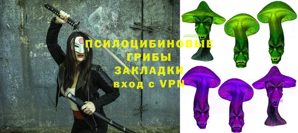 mix Лабытнанги