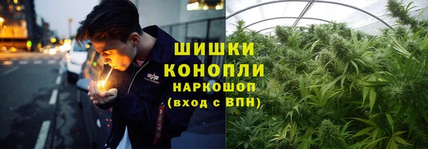 ГАЛЛЮЦИНОГЕННЫЕ ГРИБЫ Липки