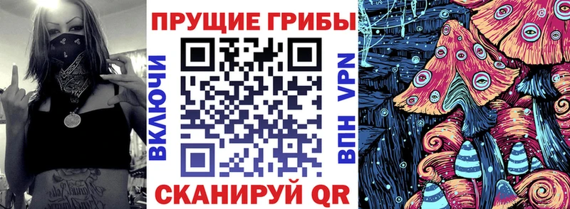 Галлюциногенные грибы Cubensis  Цивильск 